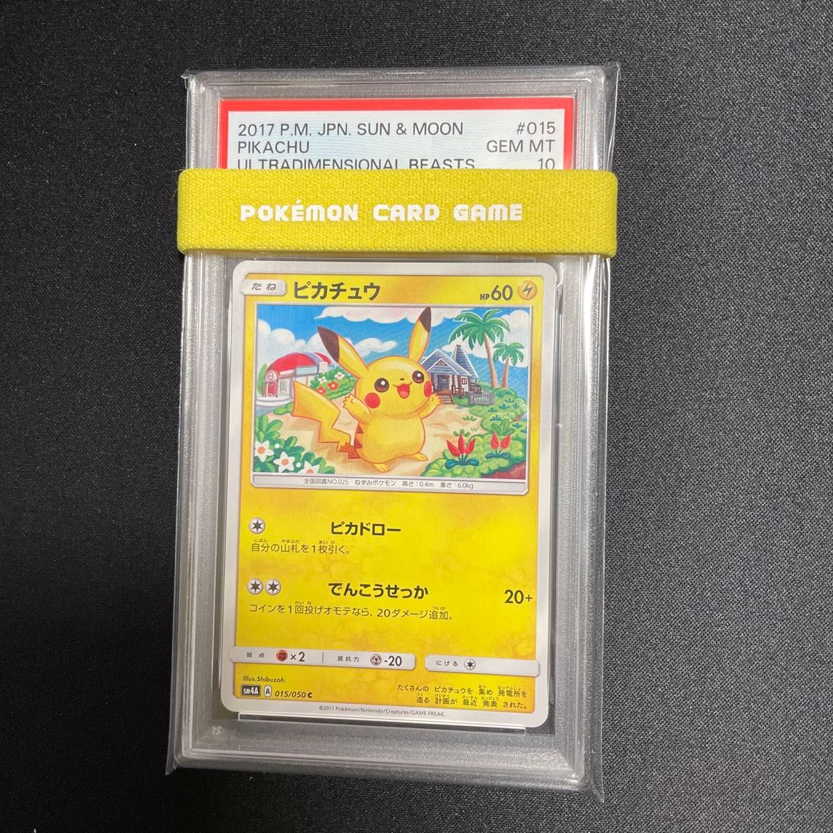 ポケモンカード】超貴重！2021年 レックウザv プロモ 神イラスト PSA10