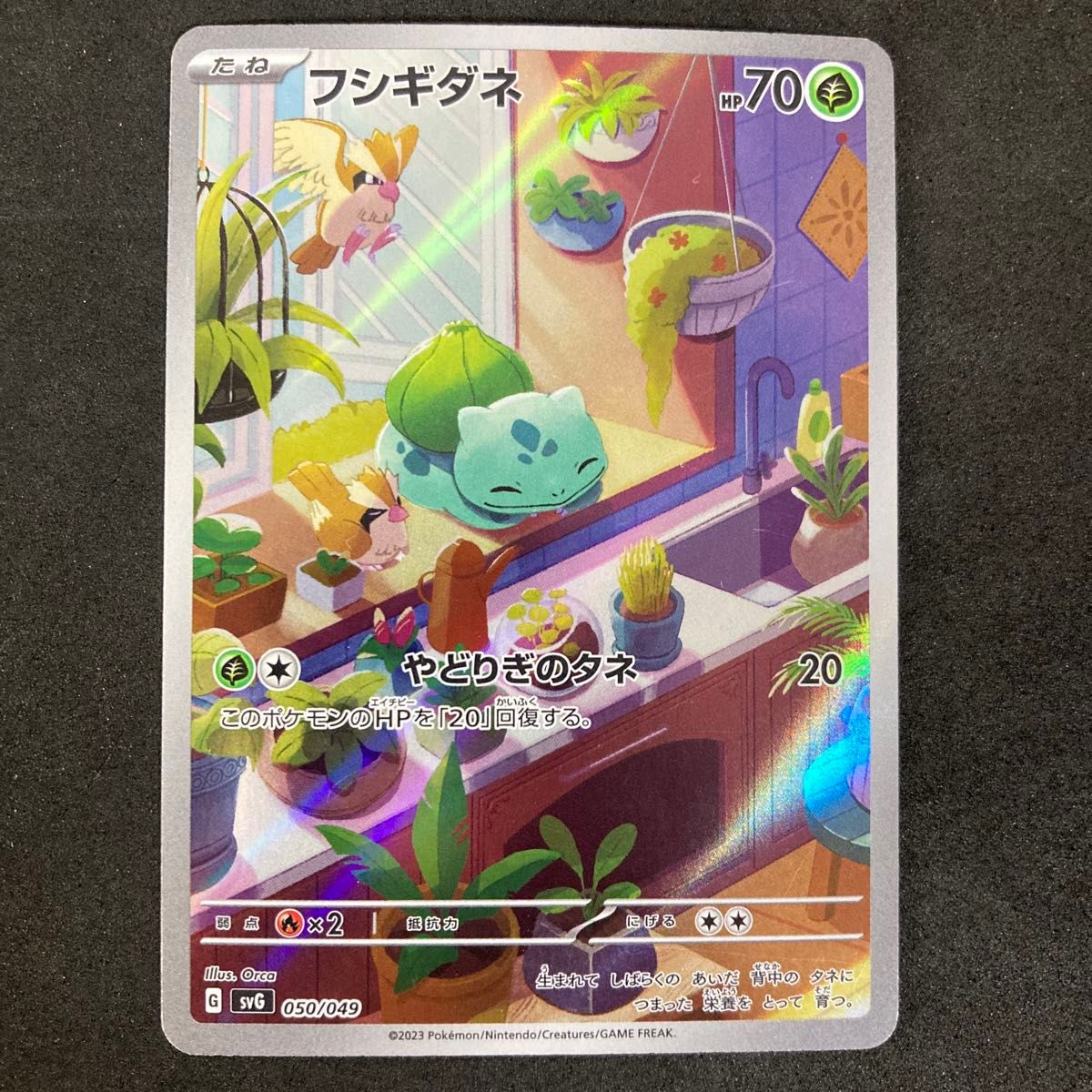ゼニガメ AR スペシャルデッキセットex ポケモンカード 052/49 | Shop