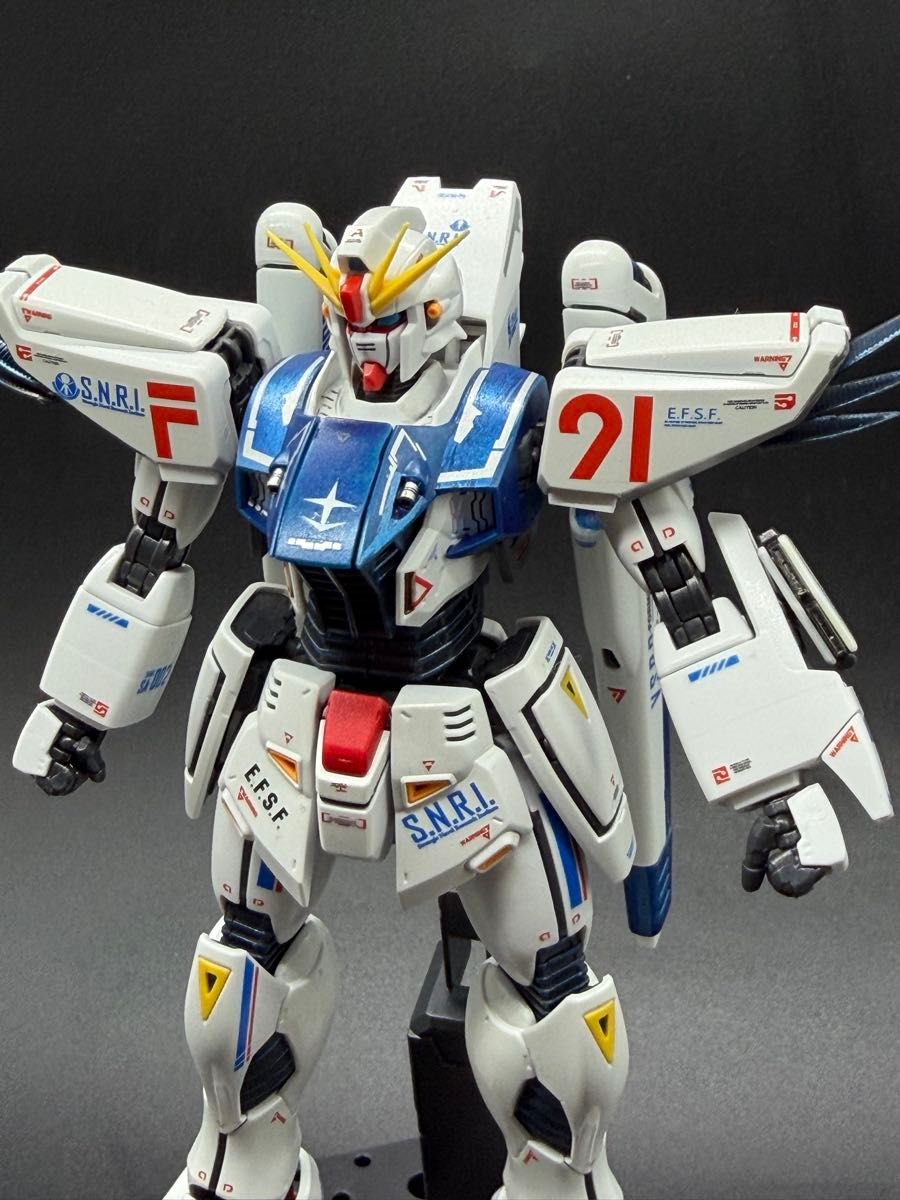 MG フリーダムガンダムVer2.0 & デスティニーガンダム 機動戦士