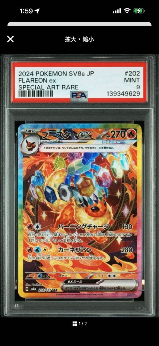 PSA9】メイのはげまし SAR | Shop at JDirectItems Fleamarket from