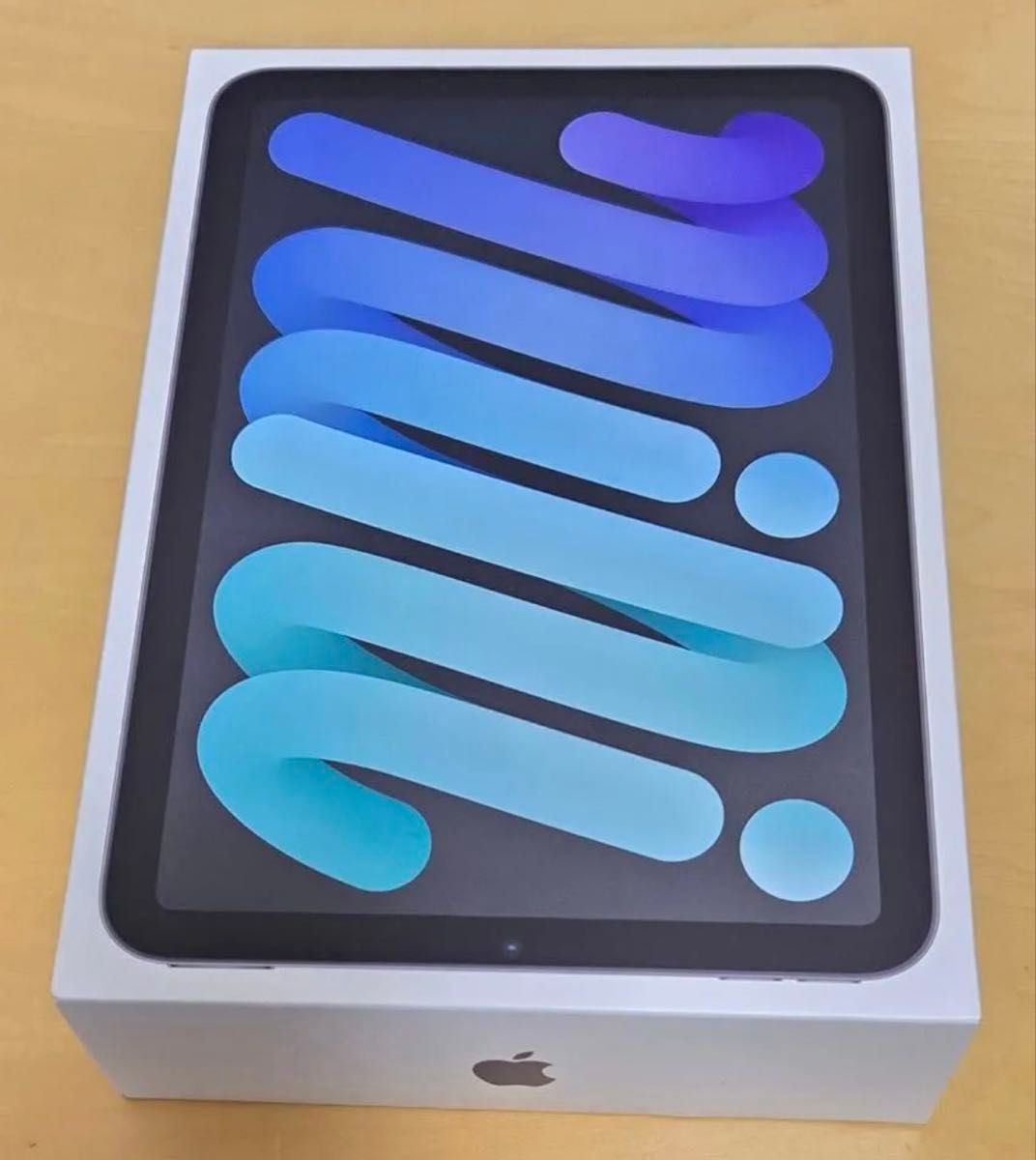 ipad mini 6 64