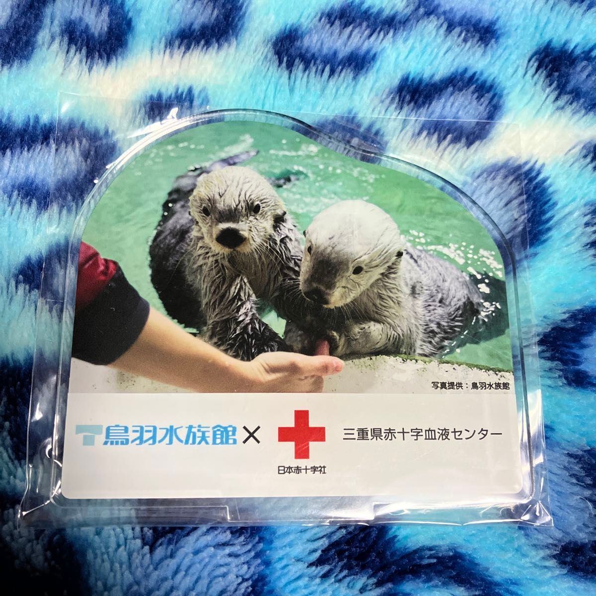 鳥羽水族館 コレクションカード vol.2 レア ロイズ メイ ラッコ | Shop