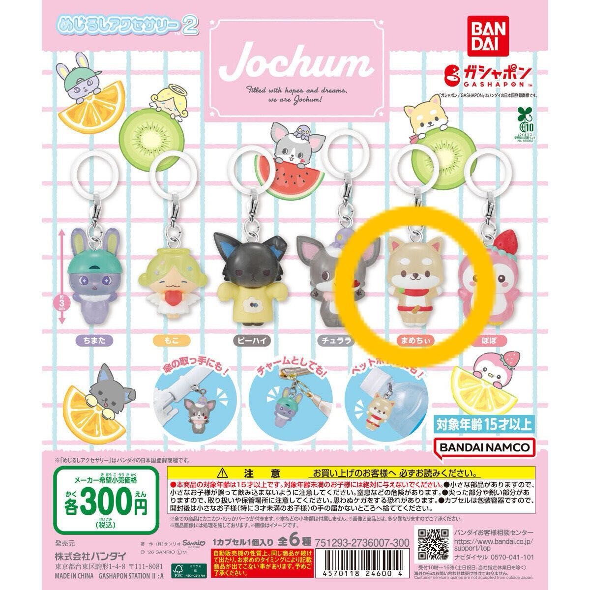 JOCHUM まめちぃ ラバーバンド JO1 EIEN ガチャ カプセルトイ | Shop