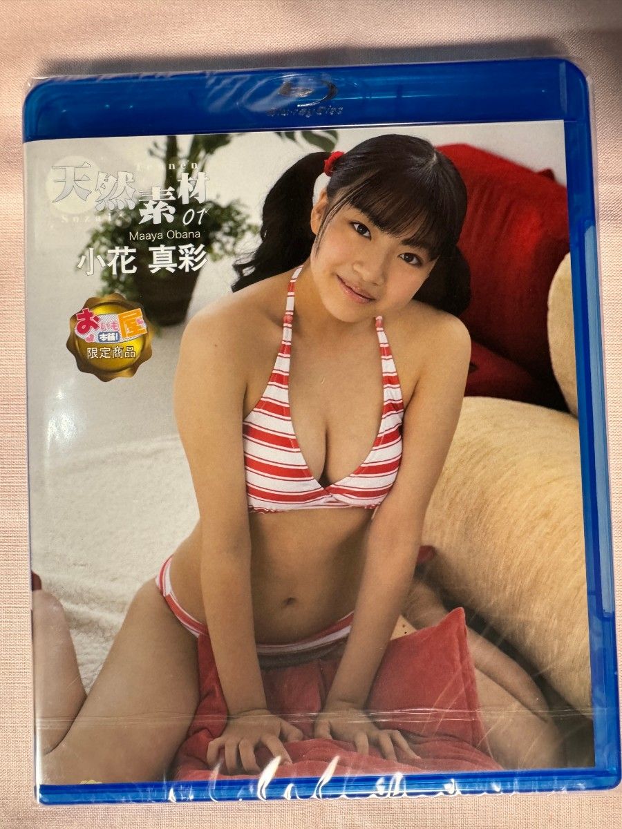 黒宮れいの過激表現と現在の真相！写真集やスタイルの進化を徹底解剖