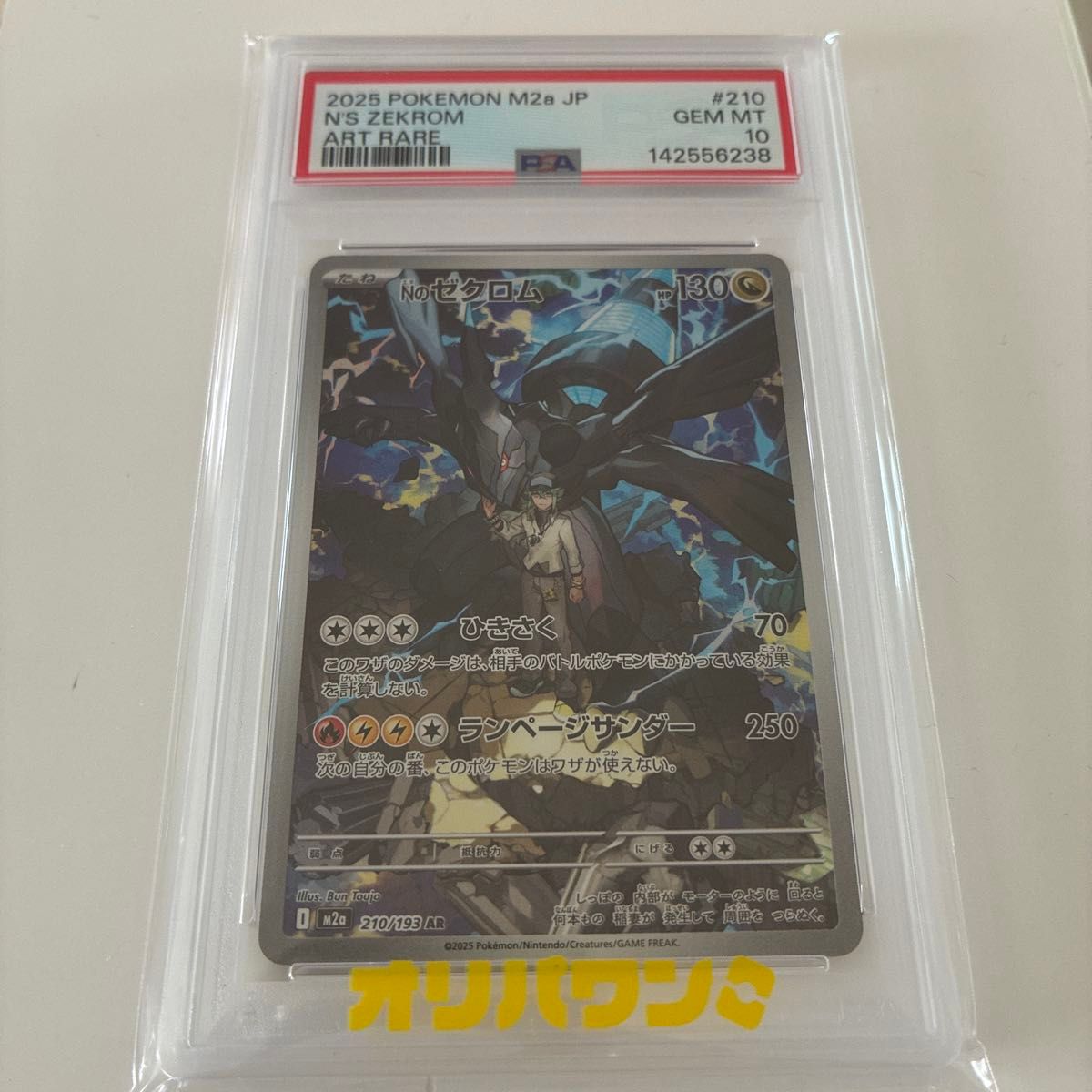 ポケモンカード コダック Nのゼクロム AR 2枚セット MEGAドリームex