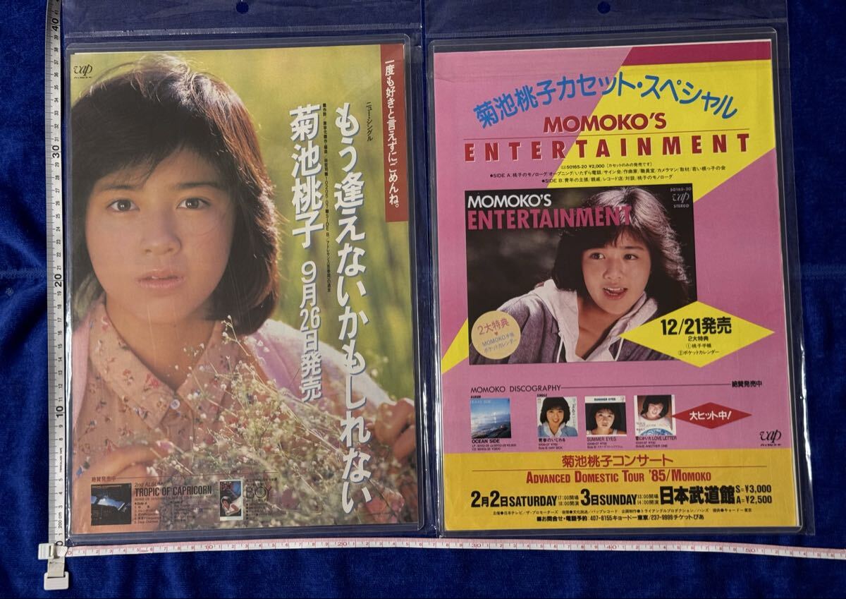 菊池桃子
