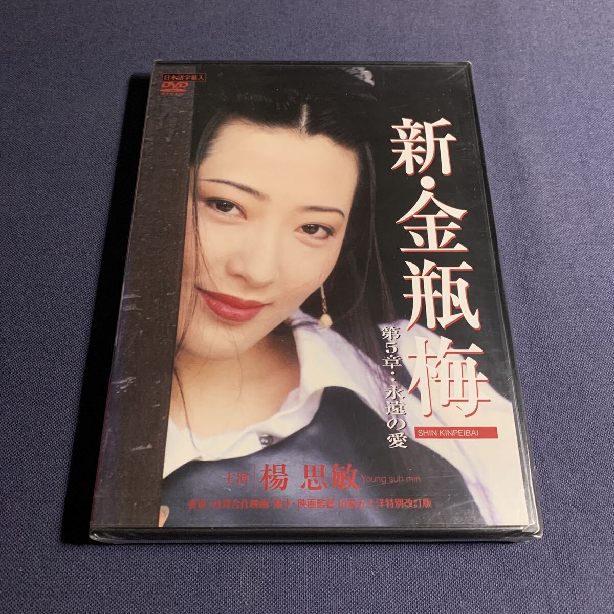 新金瓶梅
