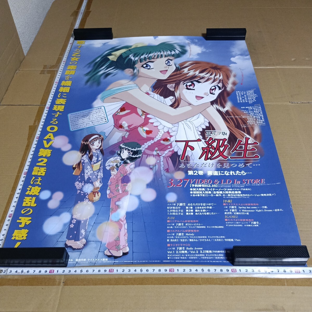 エルフ 下級生