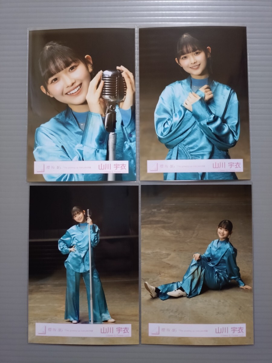 田村保乃 直筆サイン入り生写真 チュウ 2024 クリスマスサンタ衣装 田村保乃 直筆サイン入り生写真 チュウ 2024 クリスマスサンタ衣装