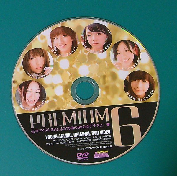 ヤングアニマル 2010年No.6 篠崎愛 みひろ 七海なな 手島優