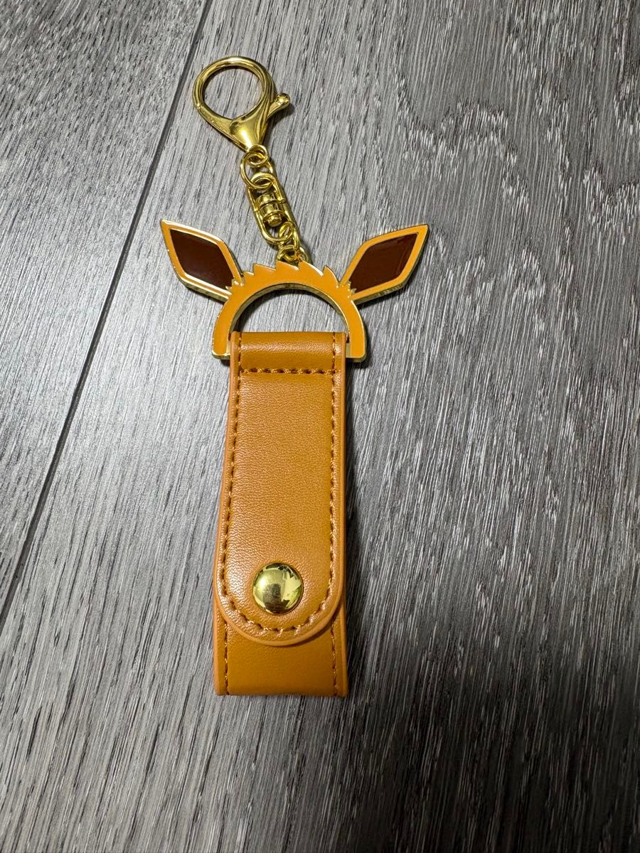 ポケパークカントー 限定 ピカチュウ・イーブイ マスコット