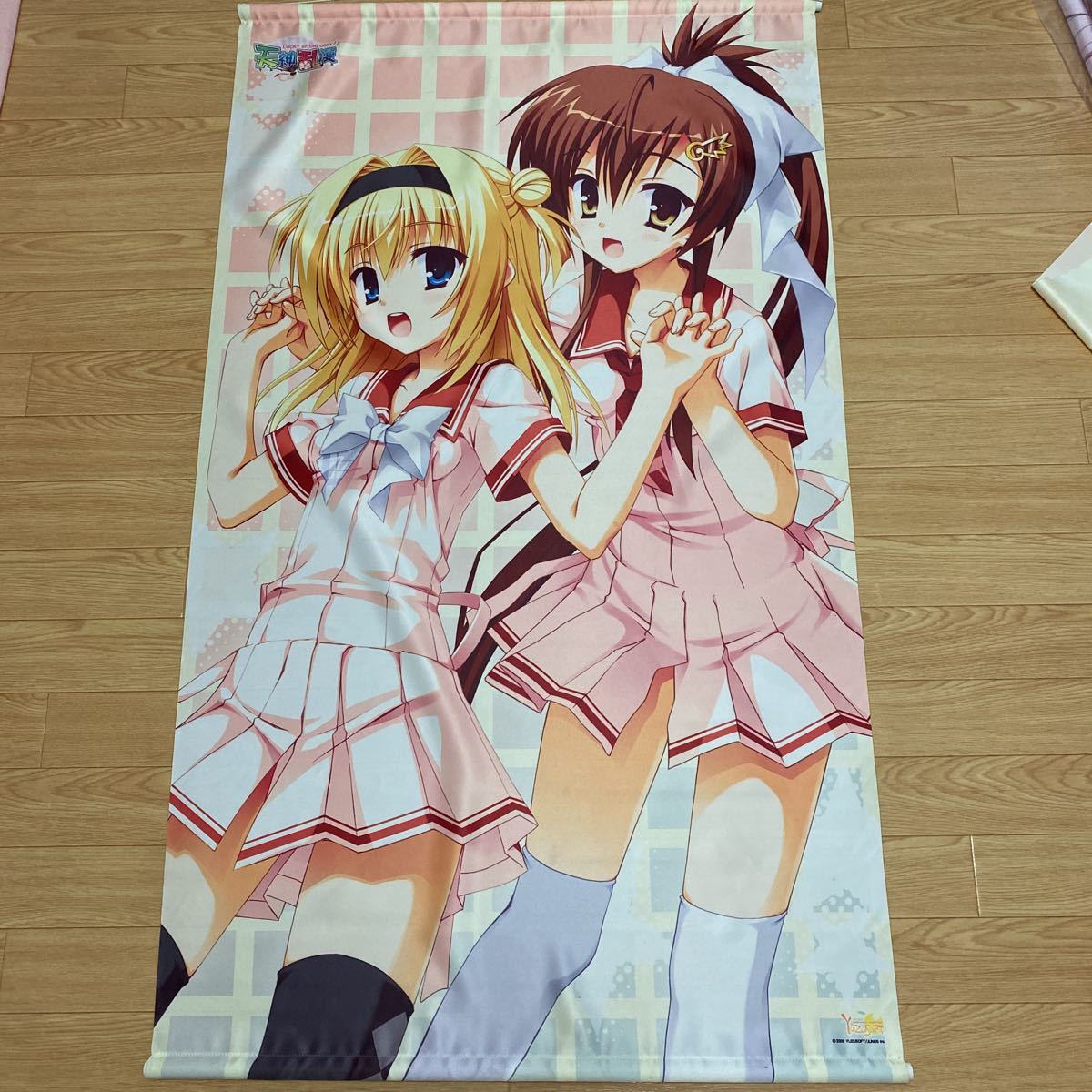 ゆずソフト 千歳佐奈 タペストリー 天神乱漫 むりりん 天神乱漫 等身大タペストリー 千歳佐奈 ゆずソフト 水着 てんし