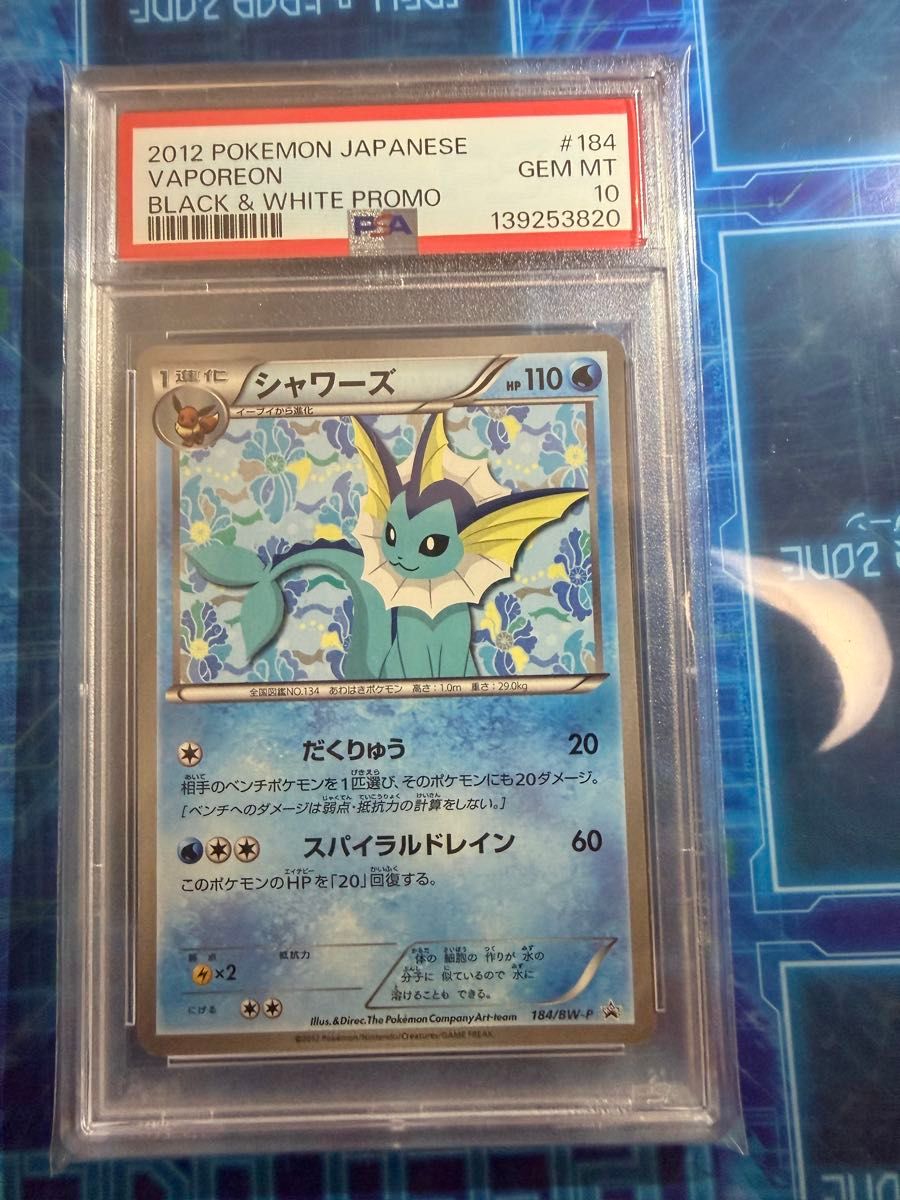 ポケモンカード サンダース 186/BW-P プロモ コレクションファイル