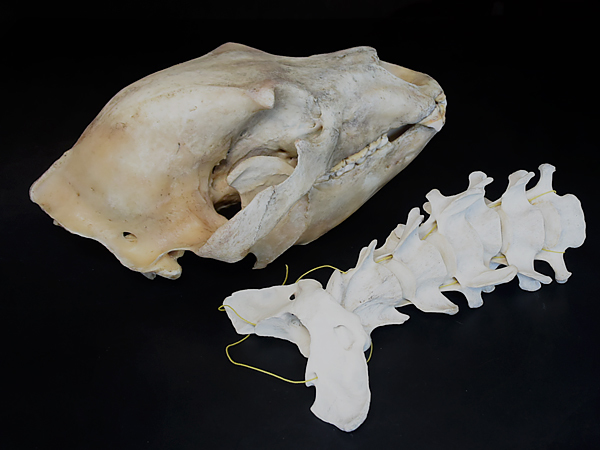 北歐風鐵藝花架客廳擺飾落地式盆栽架花盆架鐵藝花架室內臥室陽臺客廳簡約花架子落地綠蘿盆栽花架置物架特惠特價裝飾