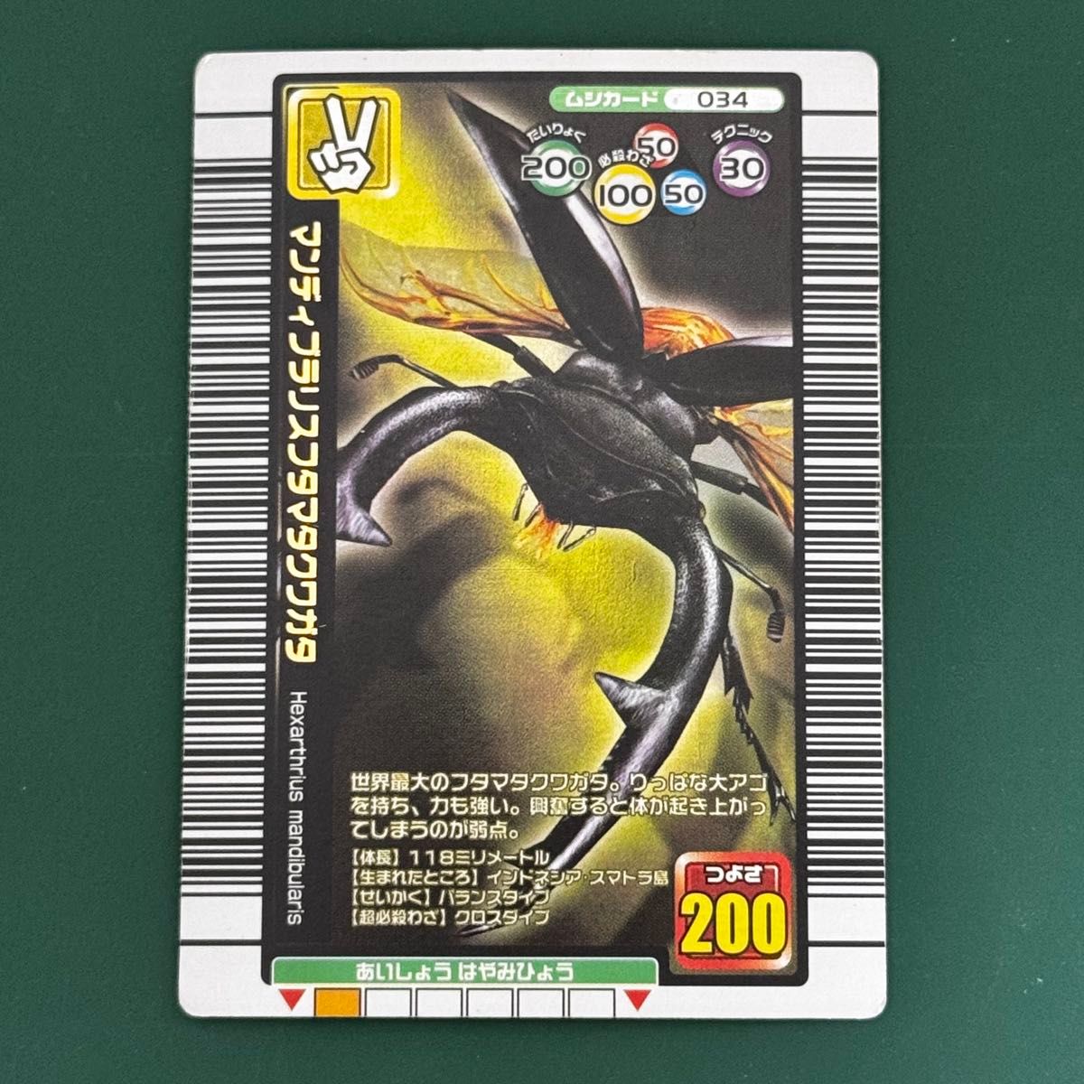 甲虫王者ムシキング 2004セカンド マンディブラリスフタマタクワガタ