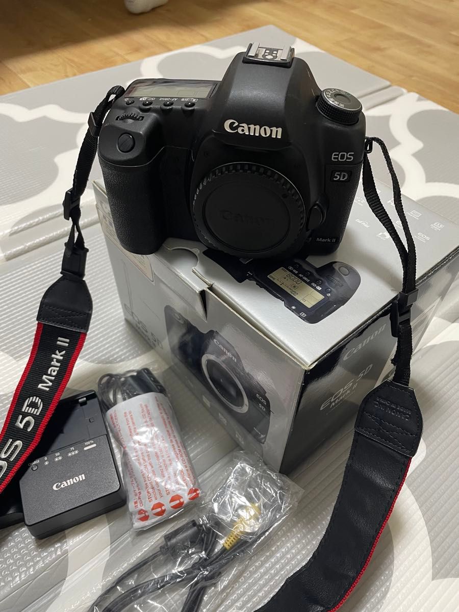 CCD 名機 PENTAX K200D ボディ ショット数 約2,700回 | Shop at