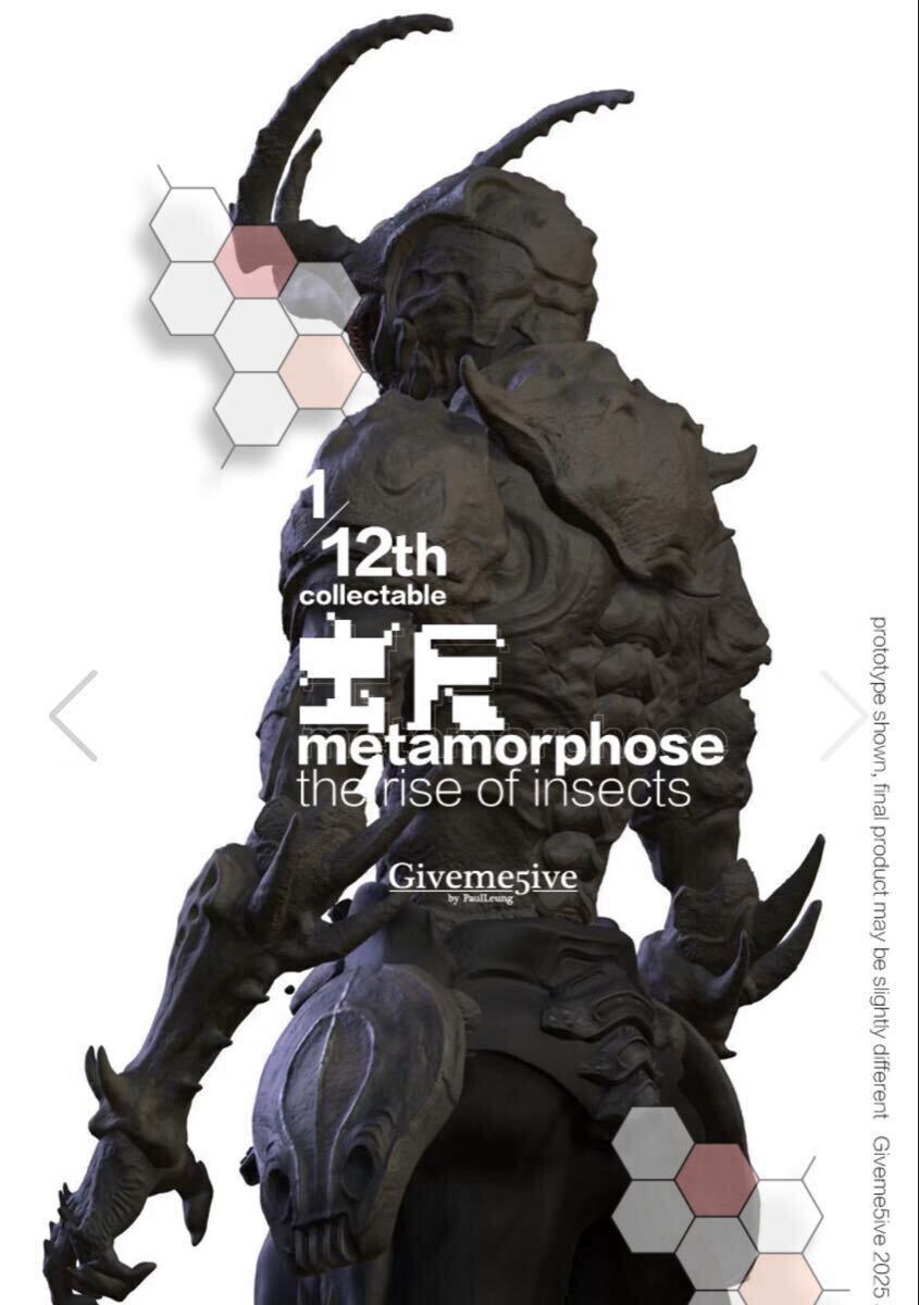 Preview of METAMORPHOSE THE RISE OF INSECTS 虫啓シリーズ