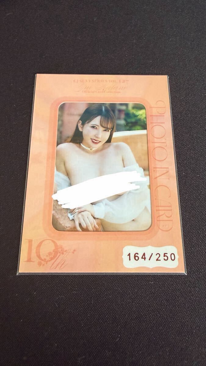 cj 波多野結衣
