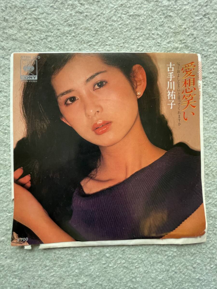 加納 典明 写真 集