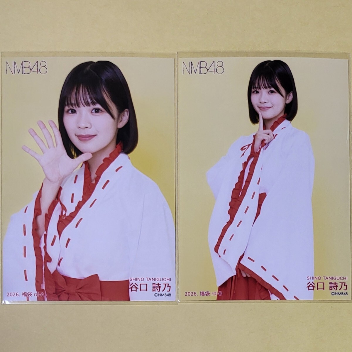 詩乃