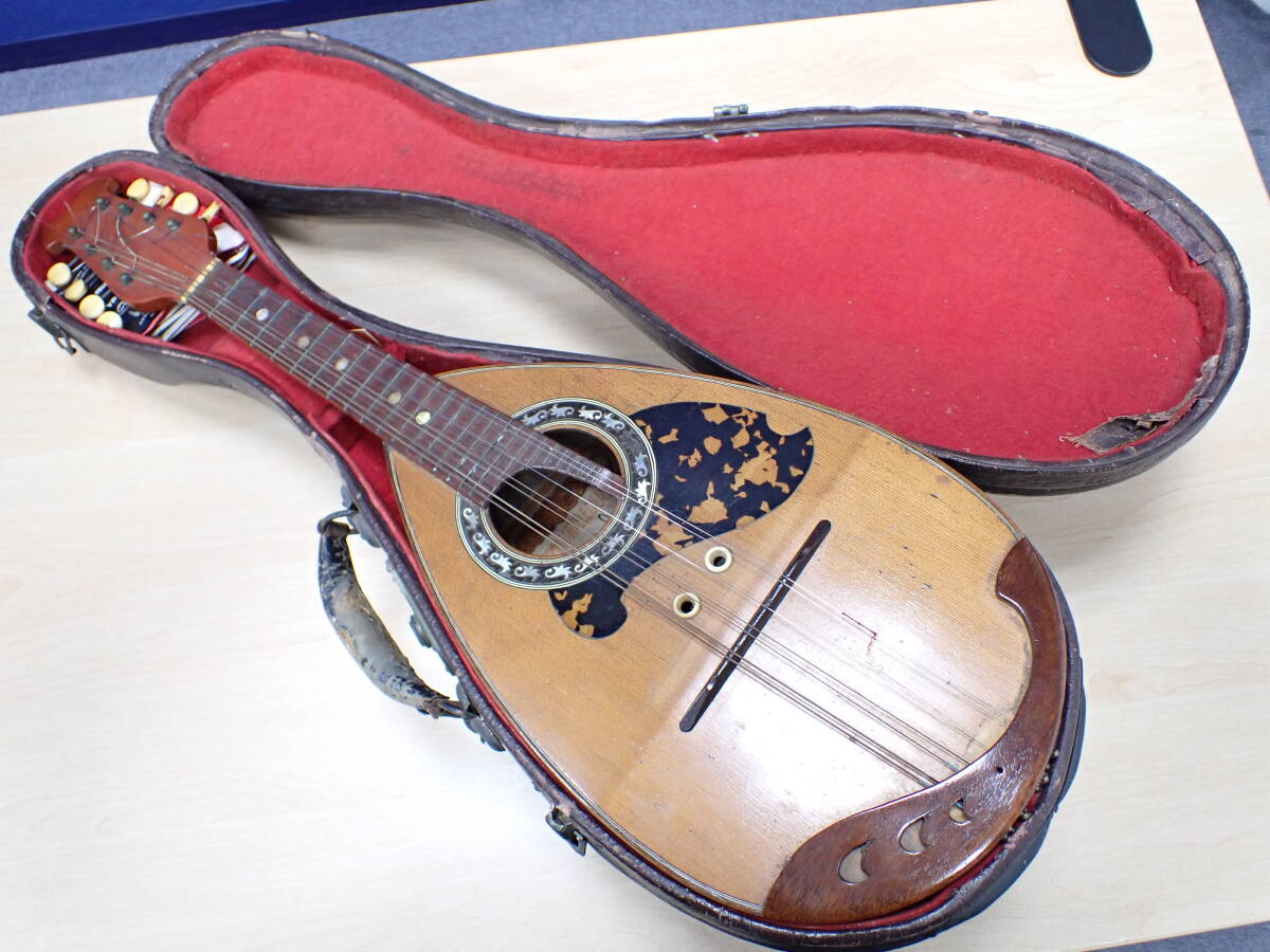 mandolin