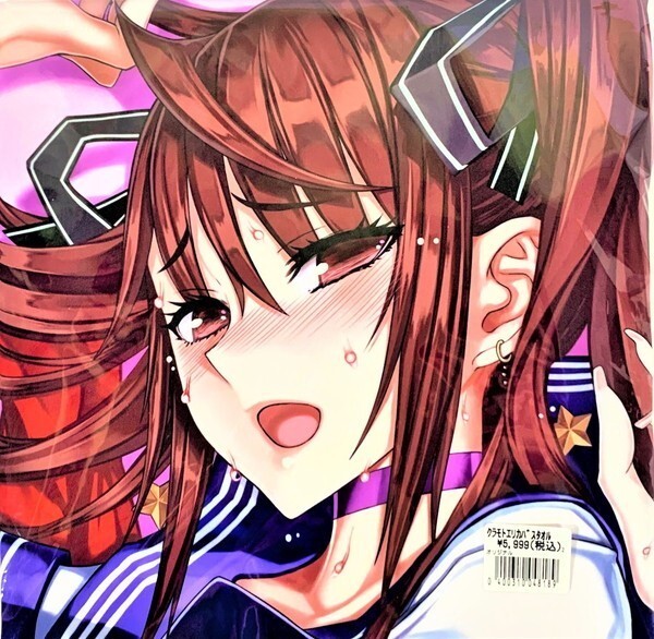 魔法少女 raita