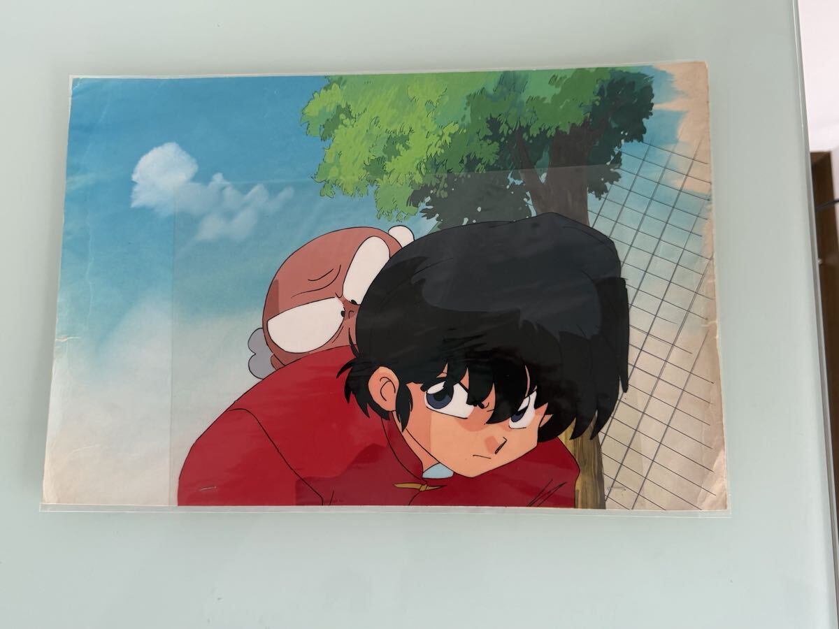 らんま1/2