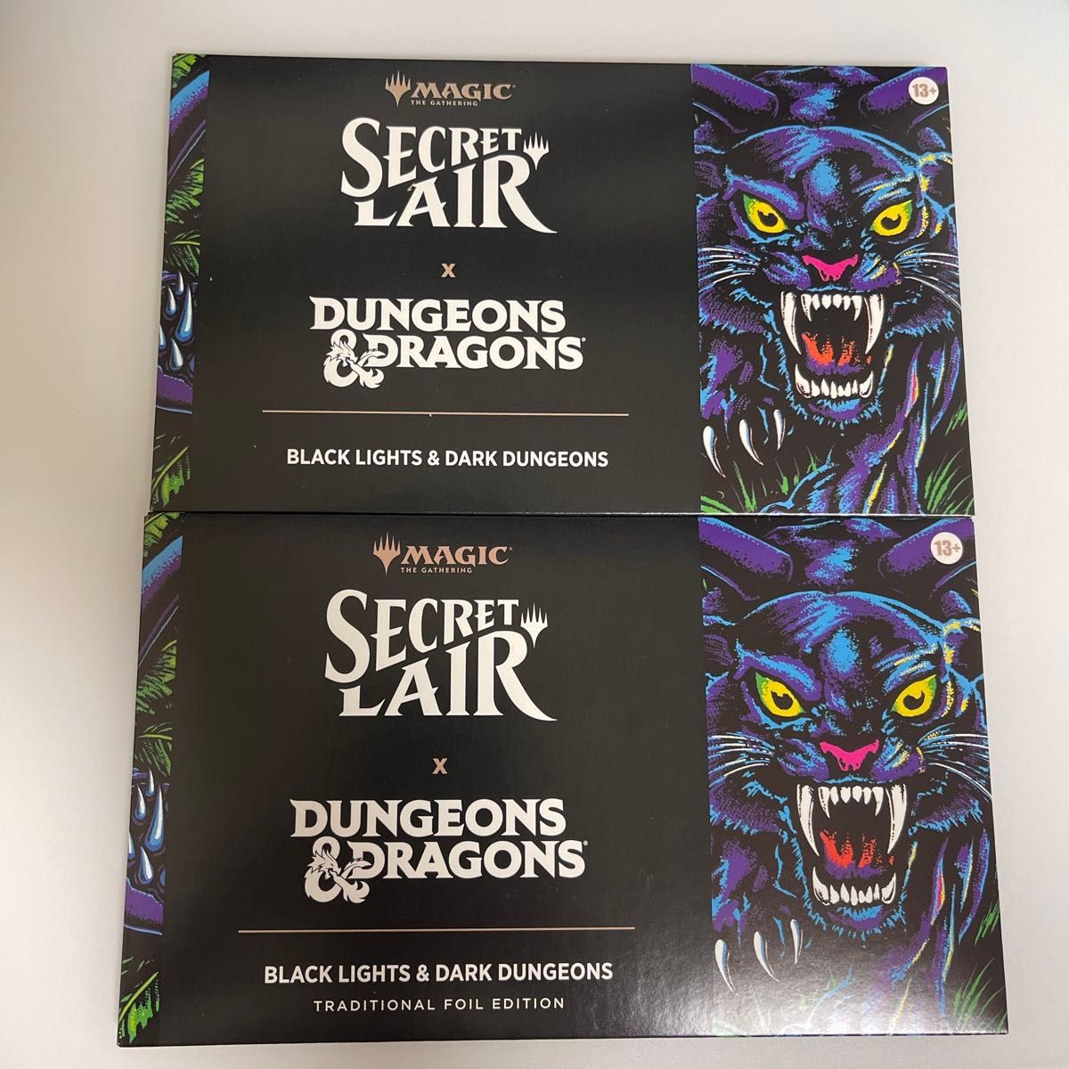 MTG Black Lights & Dark Dungeons Foil | Shop at JDirectItems