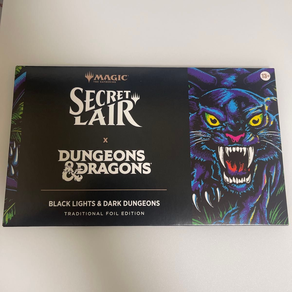MTG Black Lights & Dark Dungeons Foil | Shop at JDirectItems