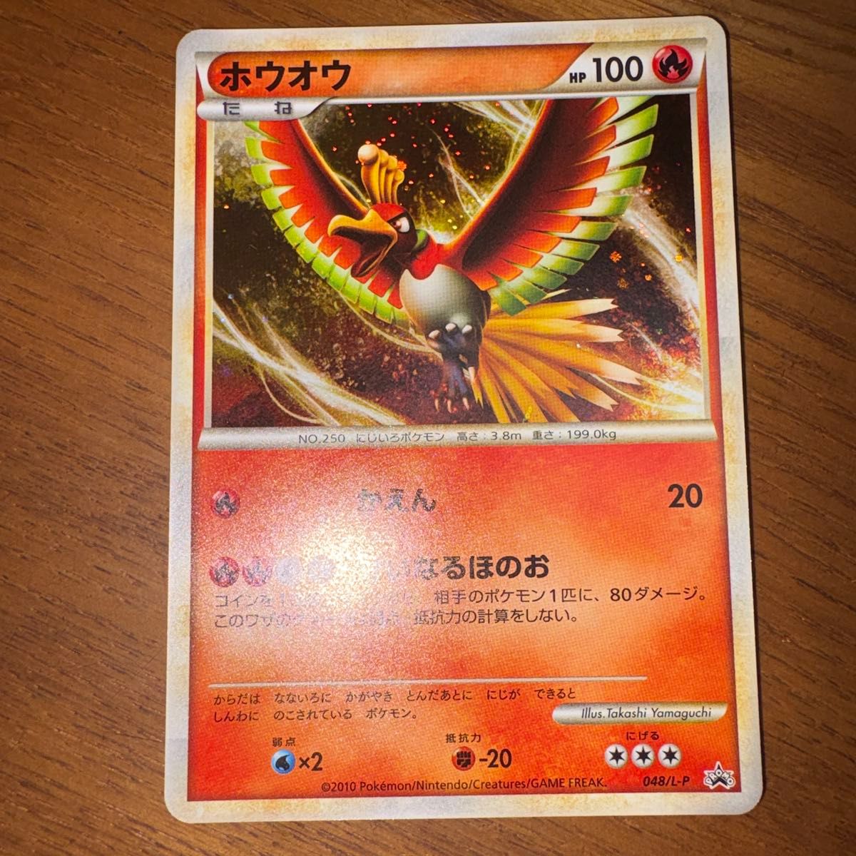 ポケモンカード ギャラドス PROMO 004/L-P 中央渦巻きホロ有