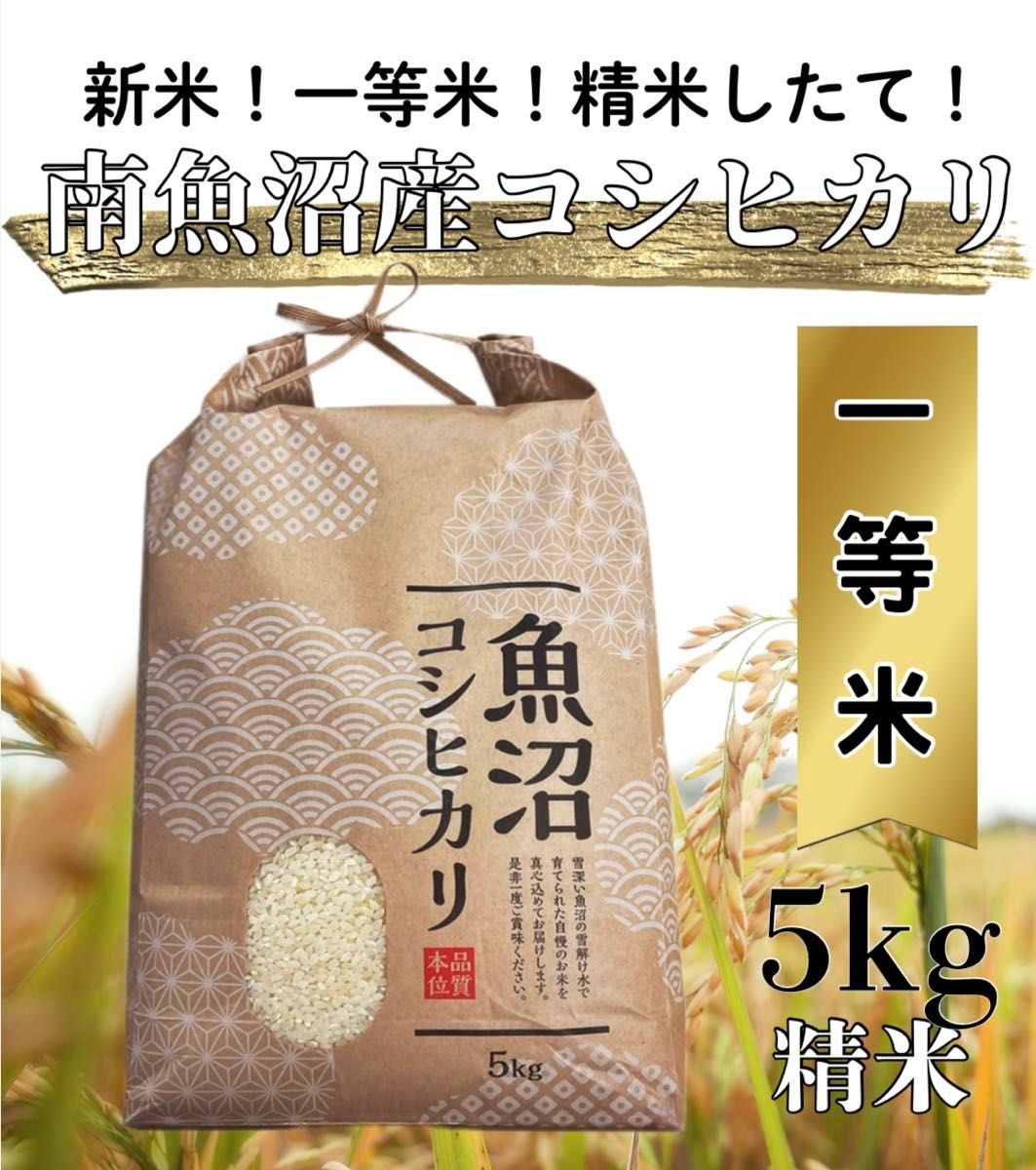 令和7年度産 南魚沼コシヒカリ 味に自信あり！ 塩沢地区一等米 20kg