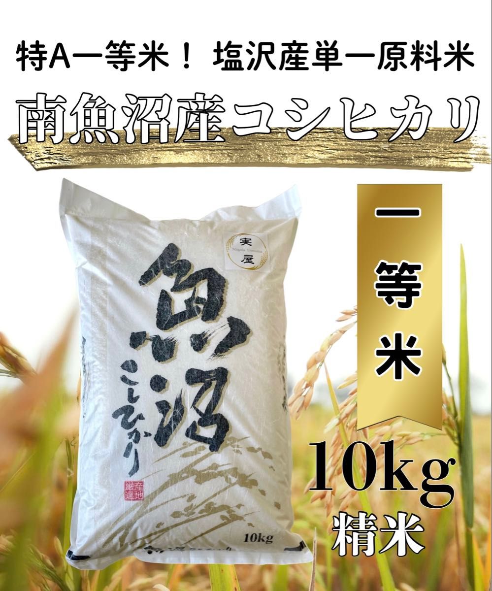 令和7年 コシヒカリ 精米済み 南魚沼産10kg 産地直送 | Shop at