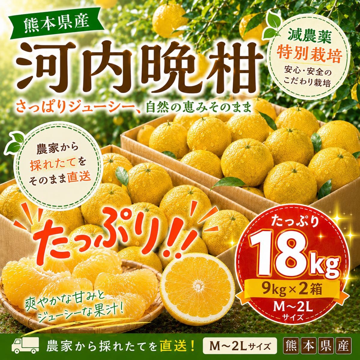 河内晩柑ピール 300g | Shop at JDirectItems Fleamarket from Japan