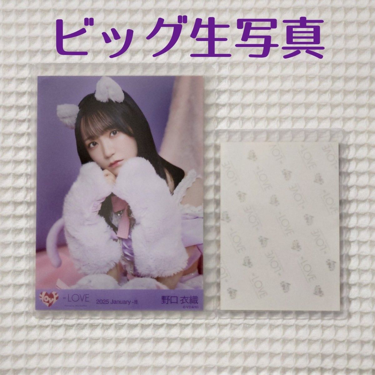 LOVE イコラブ 野口衣織 ドライブデート都内 生写真 ヨリ 直筆 + 野口
