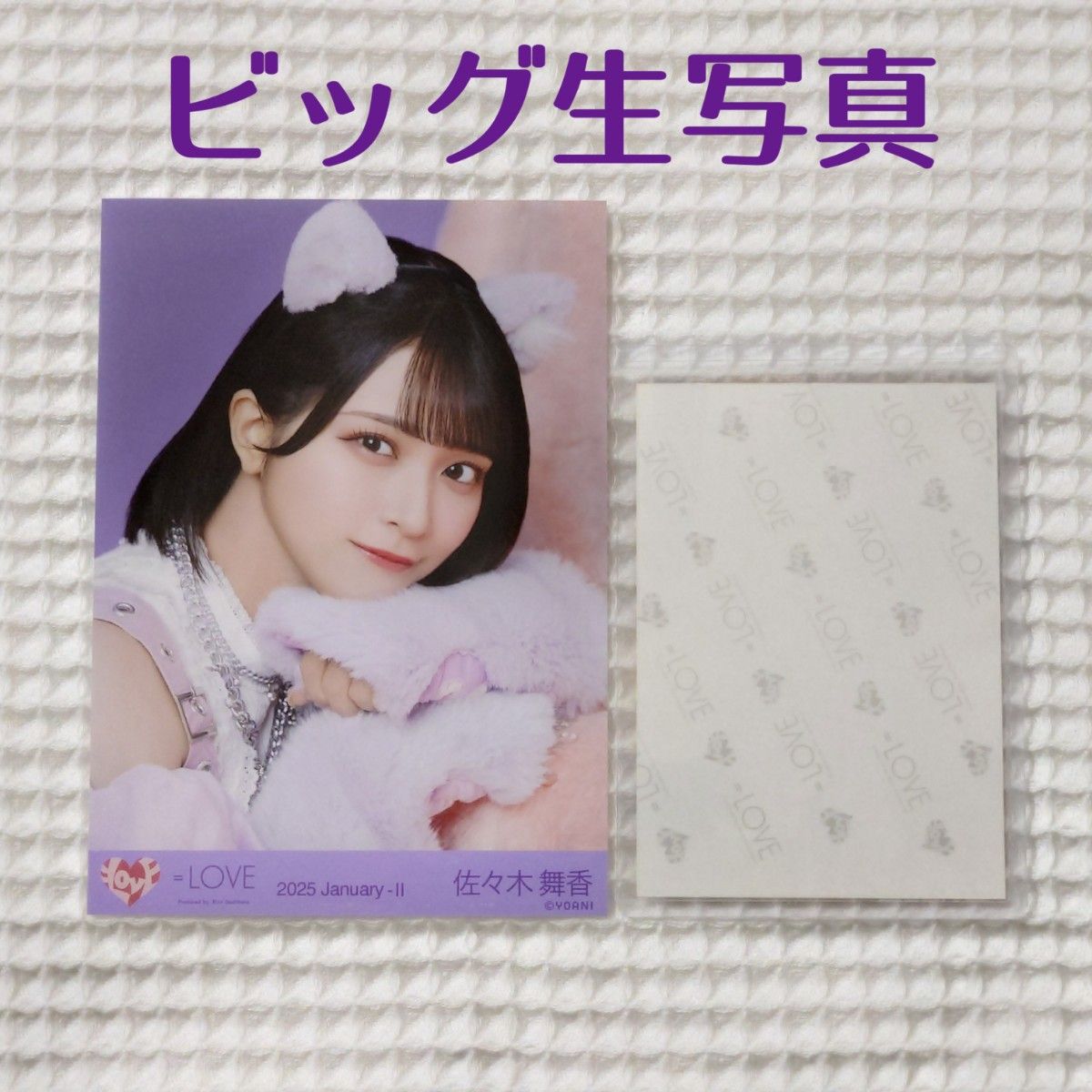 seju 証明写真 2L判 今井環希 古園井寧々 | Shop at JDirectItems
