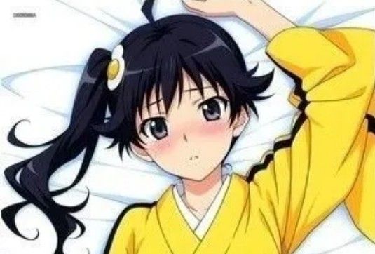 化物語抱き枕