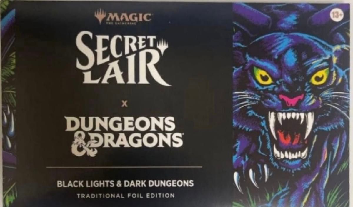 MTG Black Lights & Dark Dungeons Foil | Shop at JDirectItems