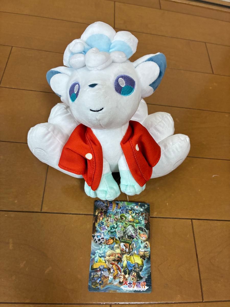 ポケモン 北海道だいすき ロコン アローラロコン ぬいぐるみ 2個セット