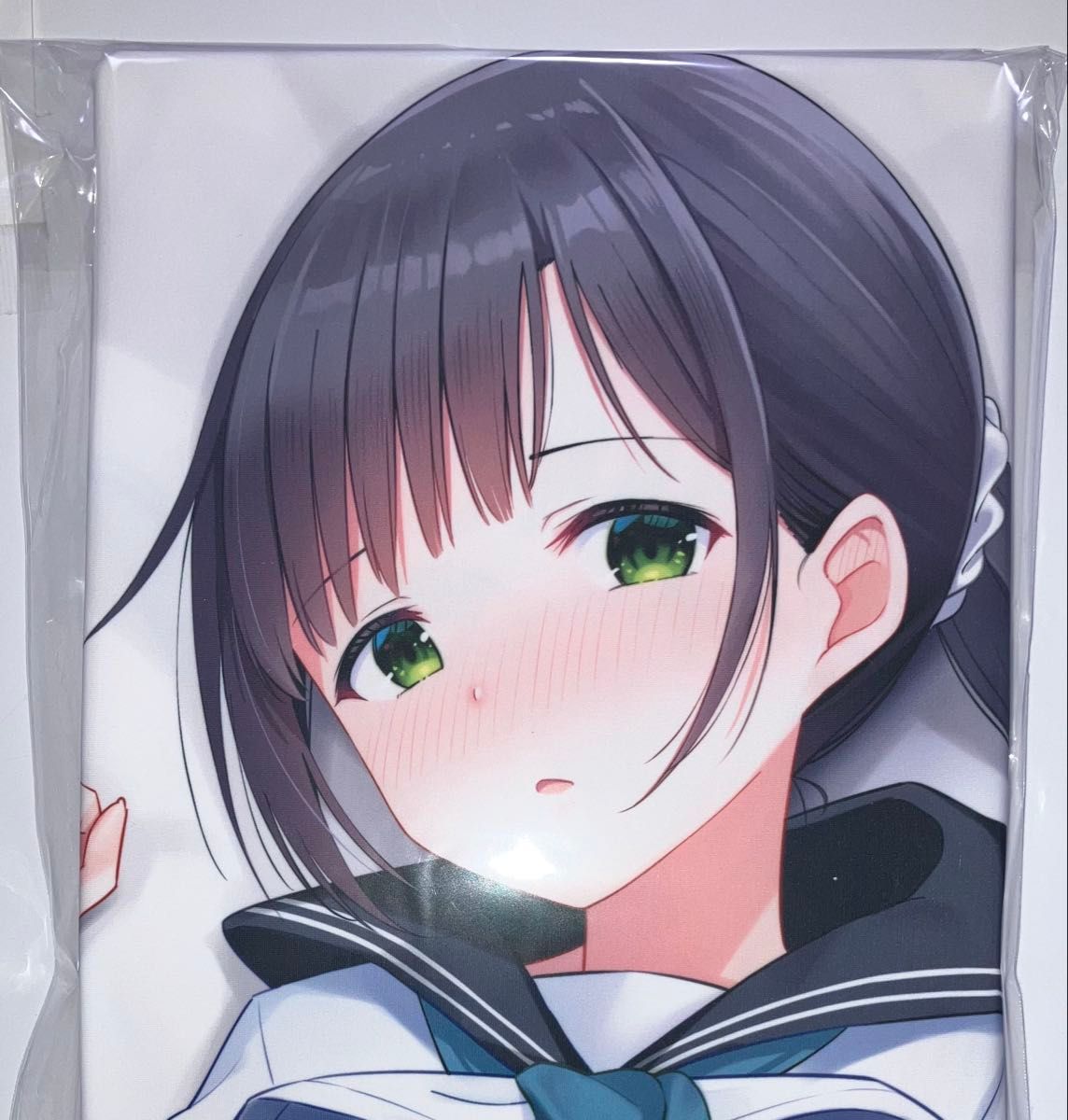 にほん女子校生ずかん