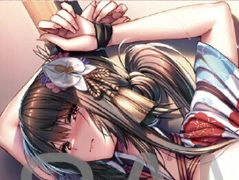ピロ水(アマカノ アマカノ2) アマカノ3 御所院冬樺 財布 長財布