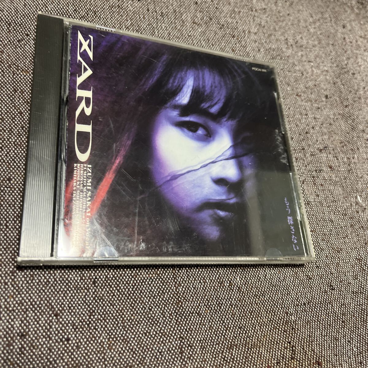 坂井泉水cd