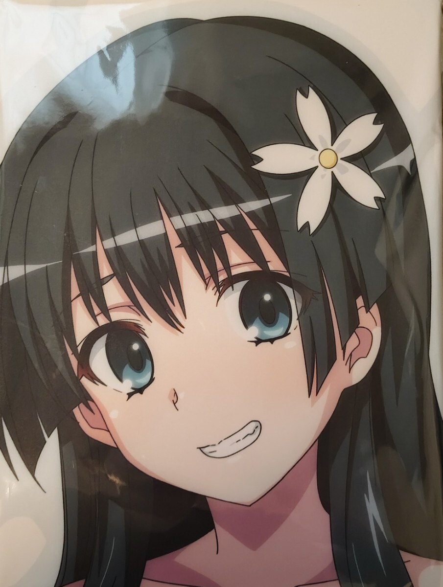 富士浅間堂 抱き枕
