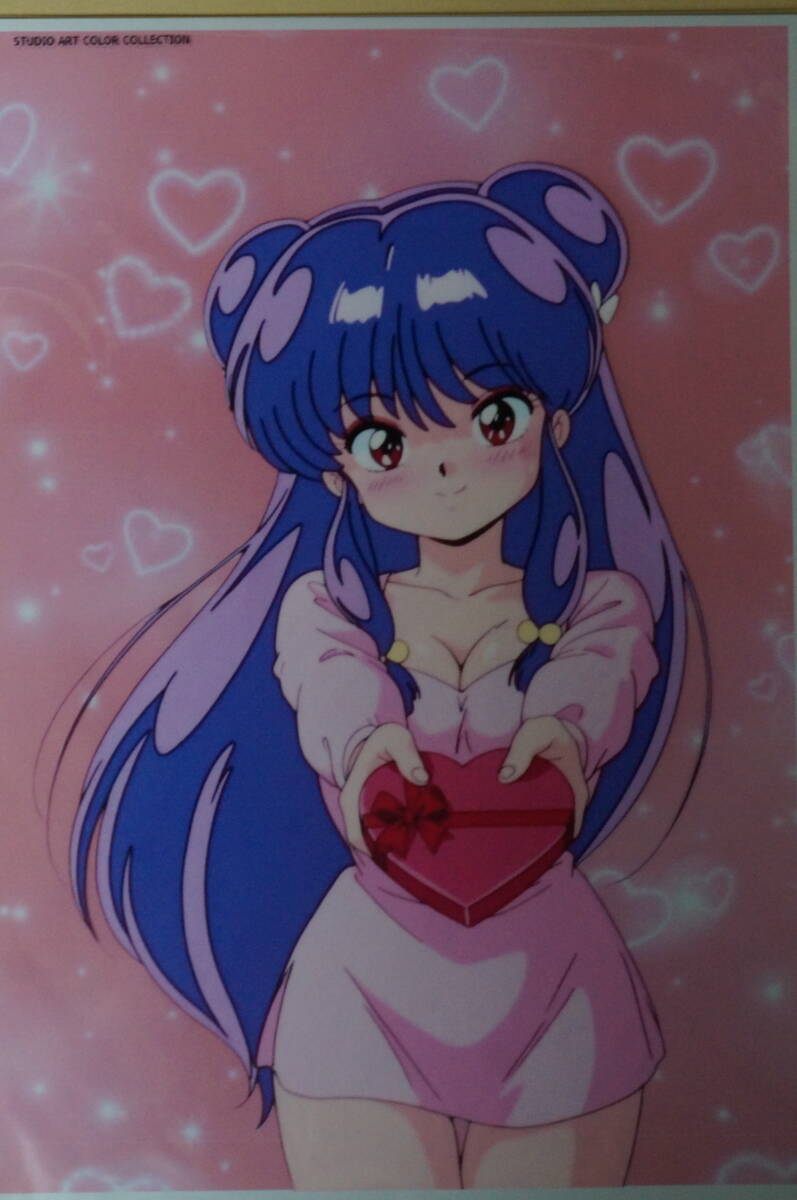 らんま1/2