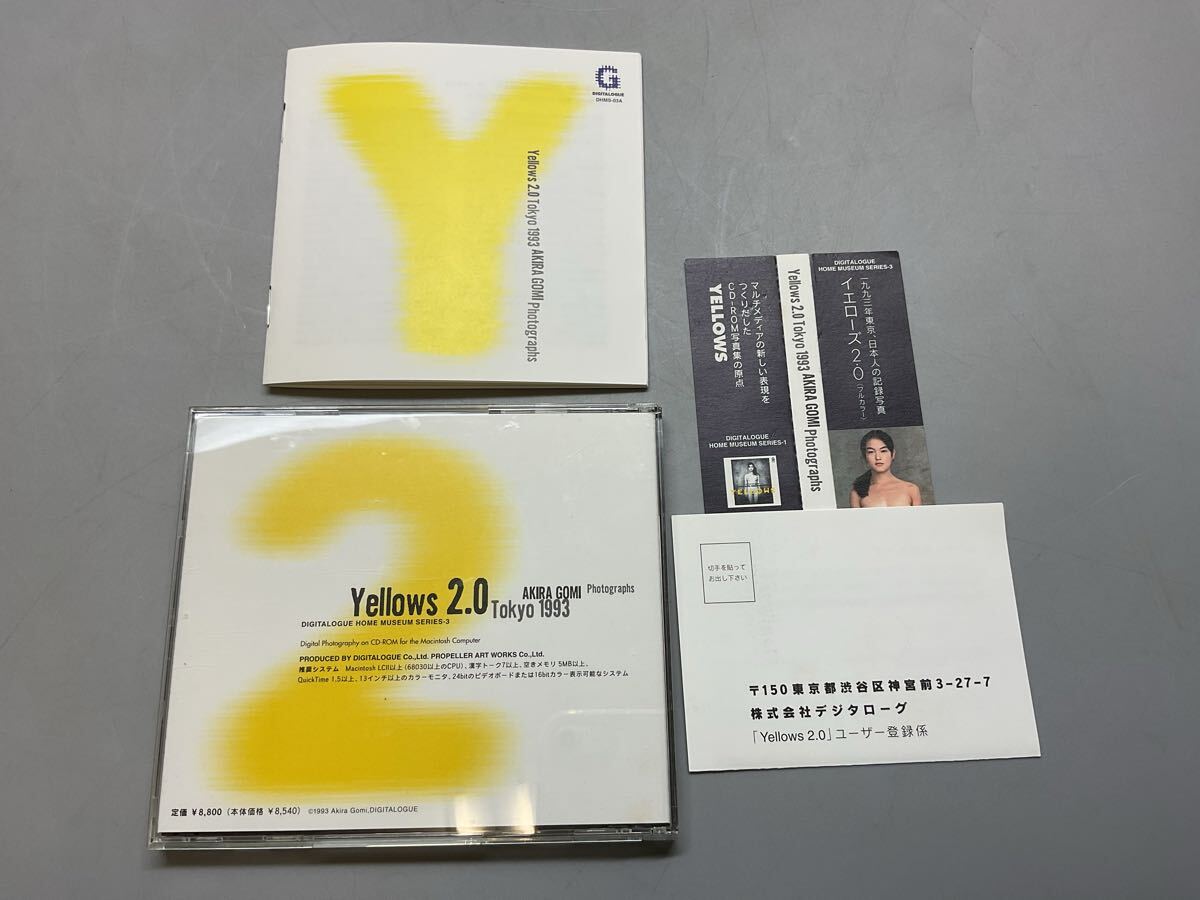 五味彬 yellows