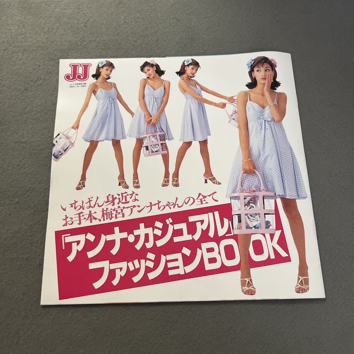 難あり　梅宮アンナ B1特大 ポスター DVD STYLE Annaパナソニック 梅宮アンナ