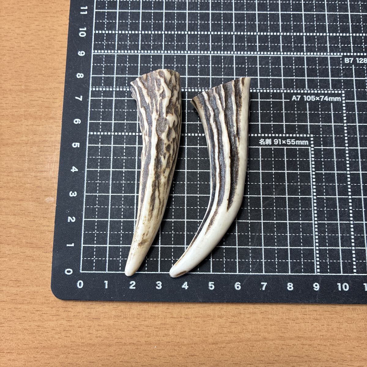根付け 鹿角