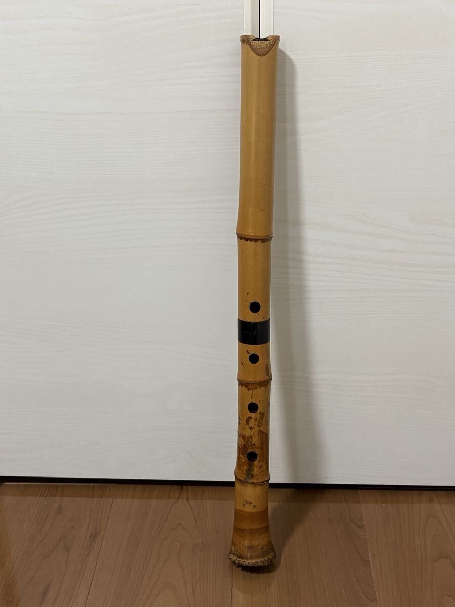 本體
