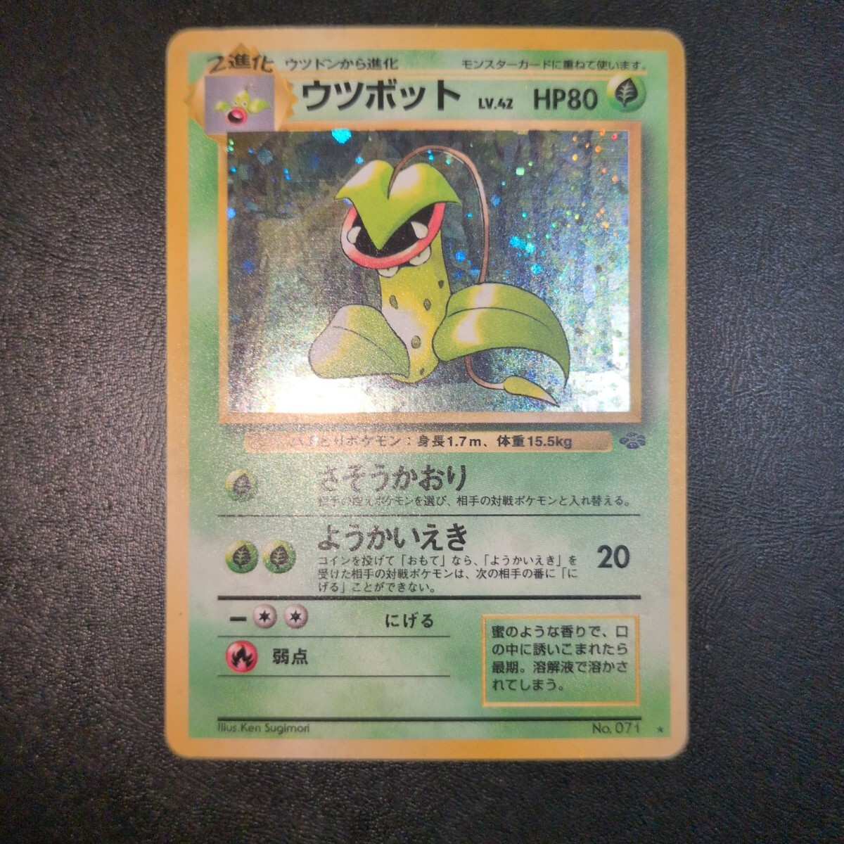 エリカのウツボット 旧裏 旧裏面 ポケモンカード ポケカ | Shop at