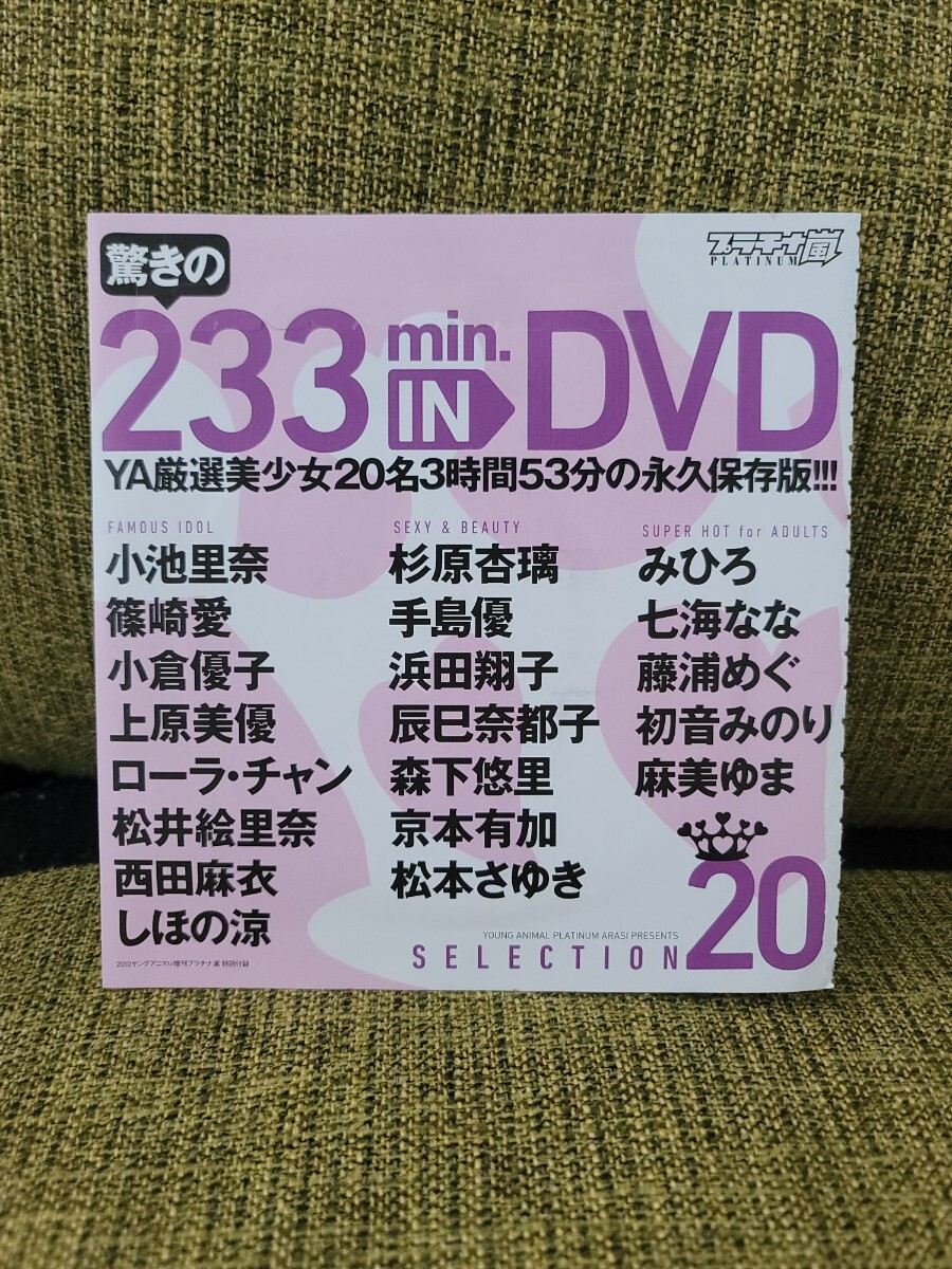 ヤングアニマル 2010年No.6 篠崎愛 みひろ 七海なな 手島優