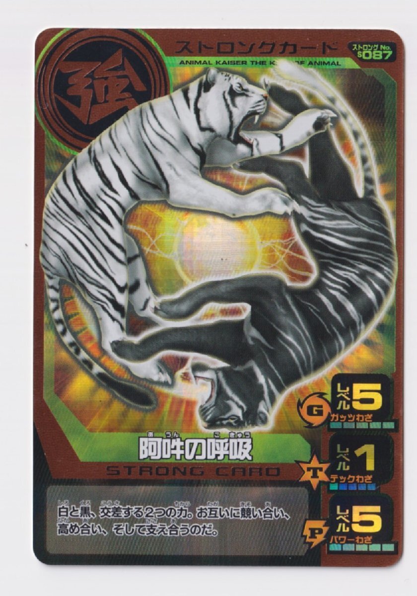 百獣大戦 アニマルカイザー